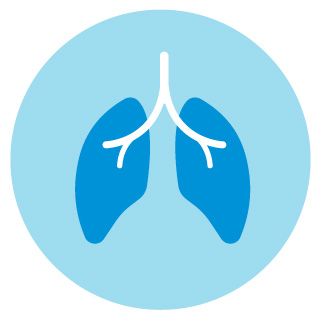 LicoriceRootBenefits02Lungs.jpg